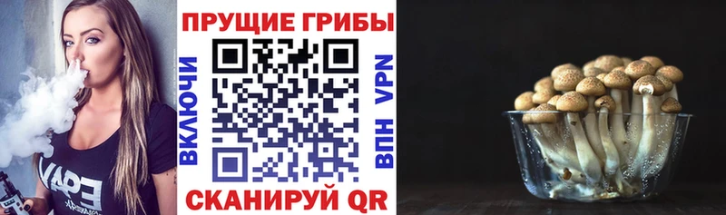 Галлюциногенные грибы мухоморы  Троицк 