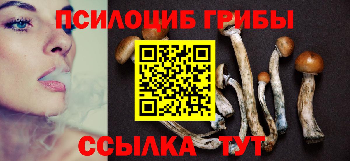 Псилоцибиновые грибы GOLDEN TEACHER Троицк